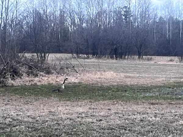 $50,000 | Lt2 Virginia Drive, Manitowoc, WI 54220