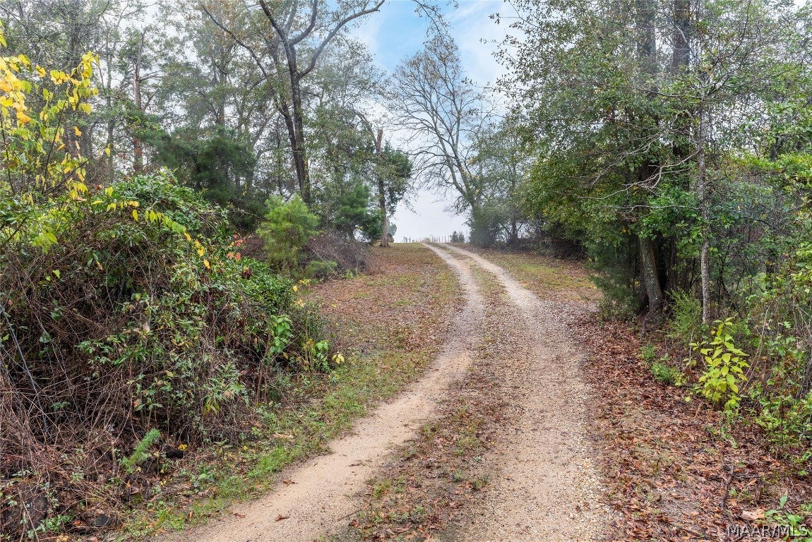 3134 Benton Store Road Columbia, AL 36319 - Photo 8 of 62 Gallery Image 8