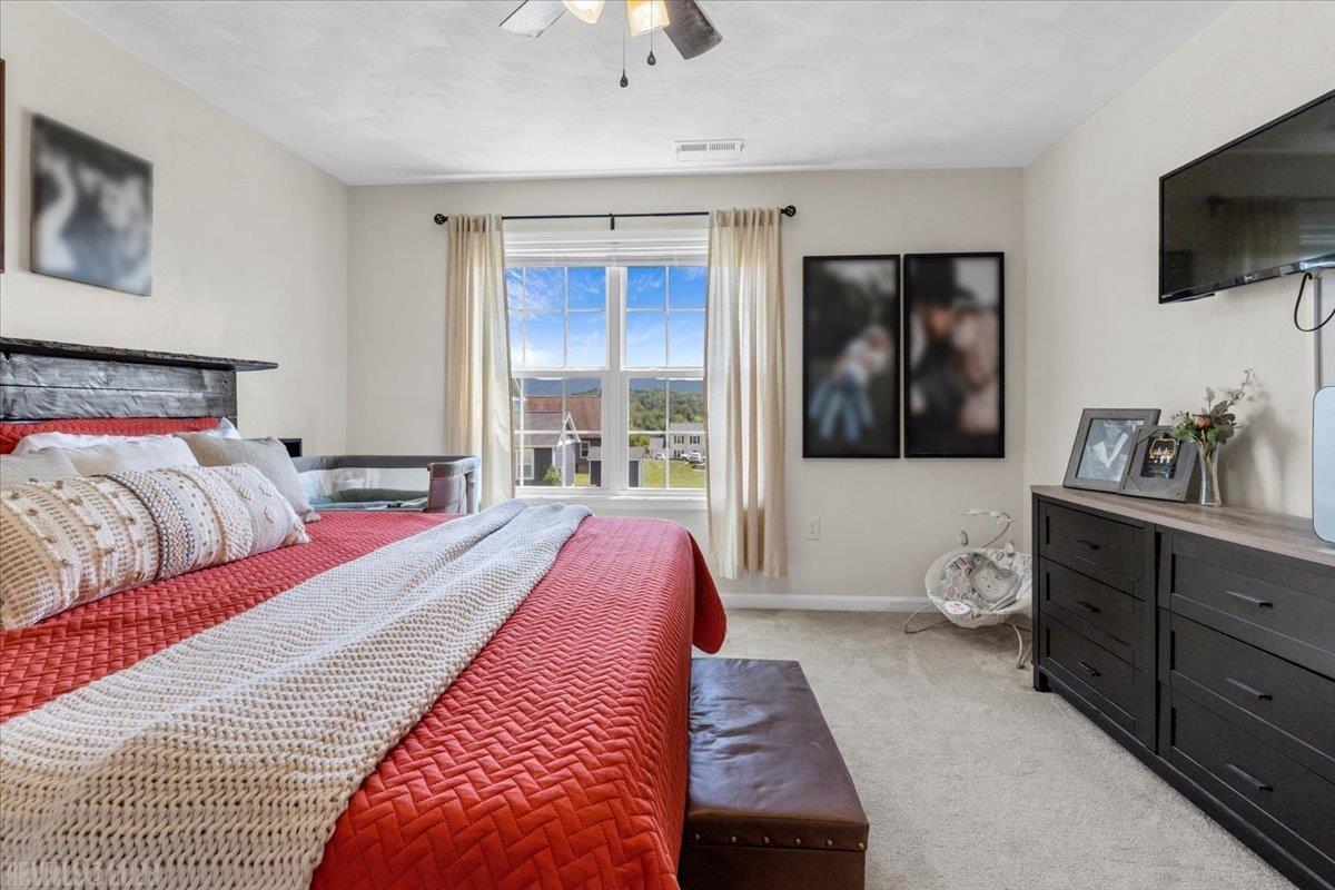 133 Prairie View Lane Pembroke, VA 24136 - Photo 20 of 54 Gallery Image 20