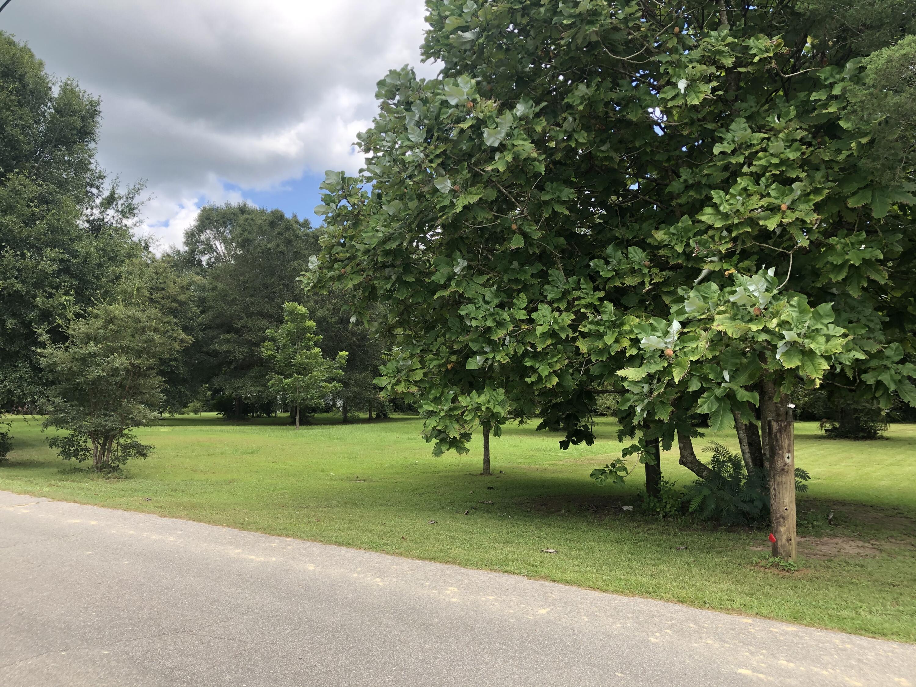 1-ac Elzie Road Baker, FL 32531 - Photo 2 of 9 a view of a trees in a park