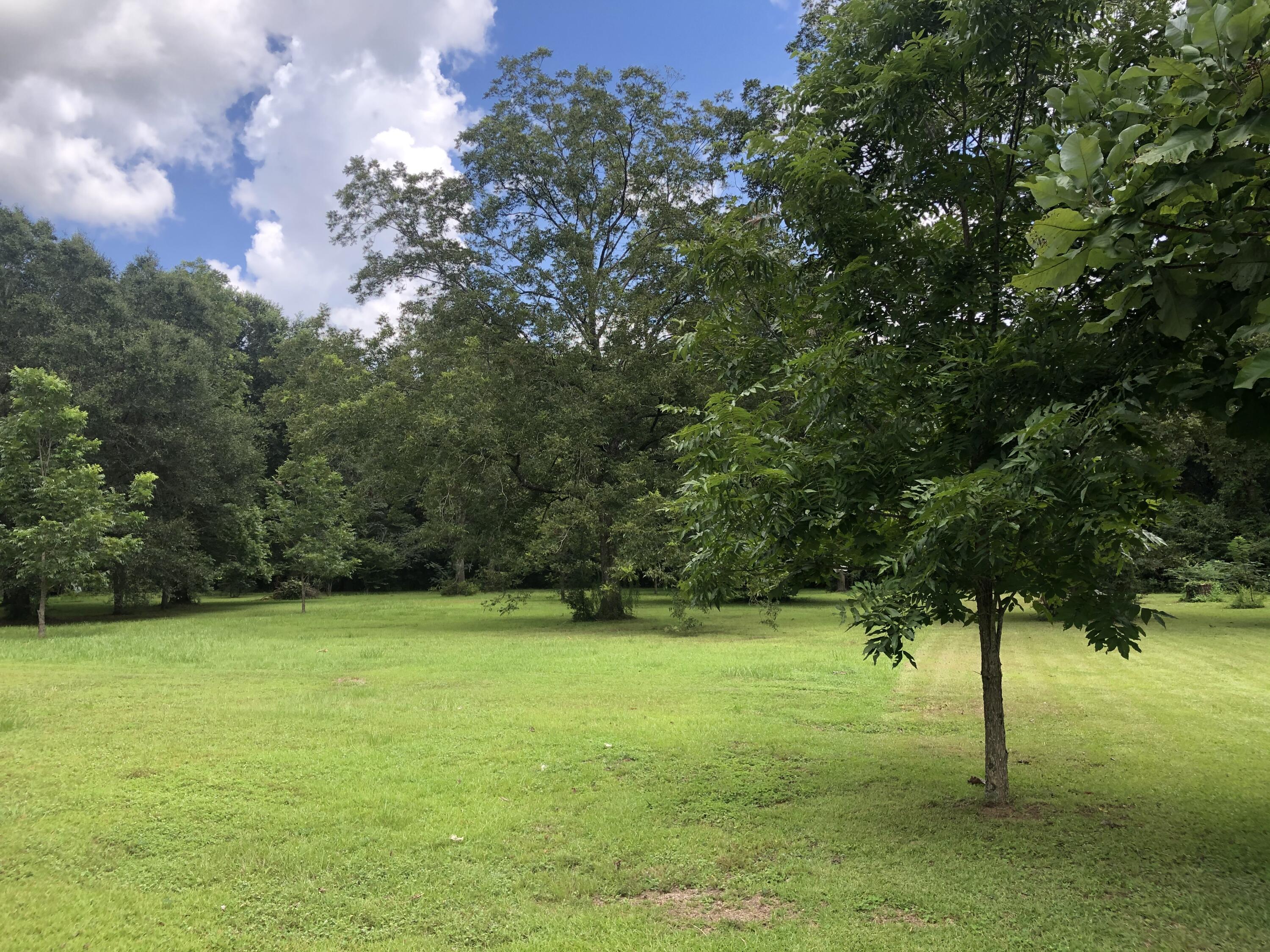 1-ac Elzie Road Baker, FL 32531 - Photo 3 of 9 a view of yard with green space