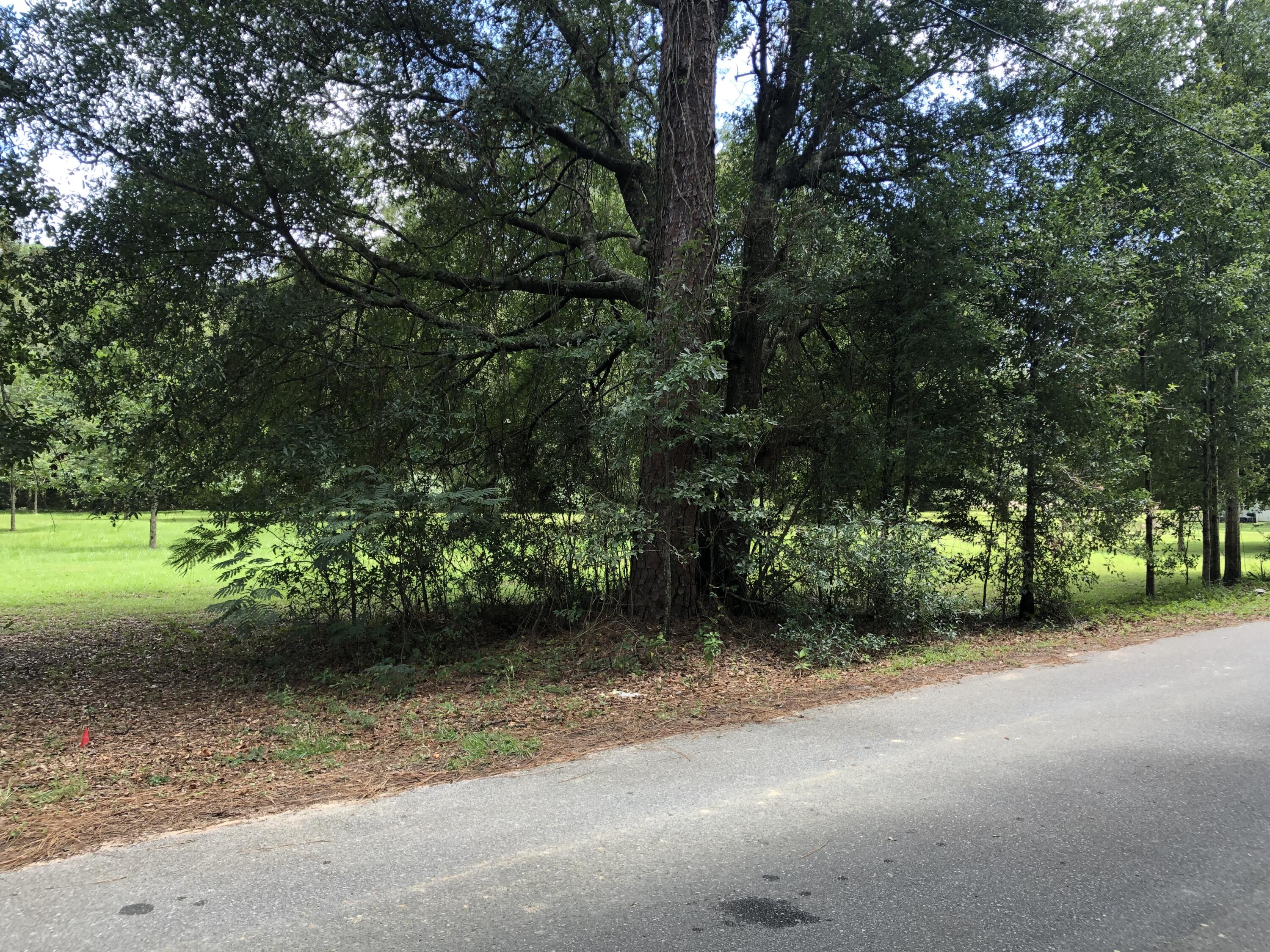 1-ac Elzie Road Baker, FL 32531 - Photo 5 of 9 a view of a yard with plants and large trees