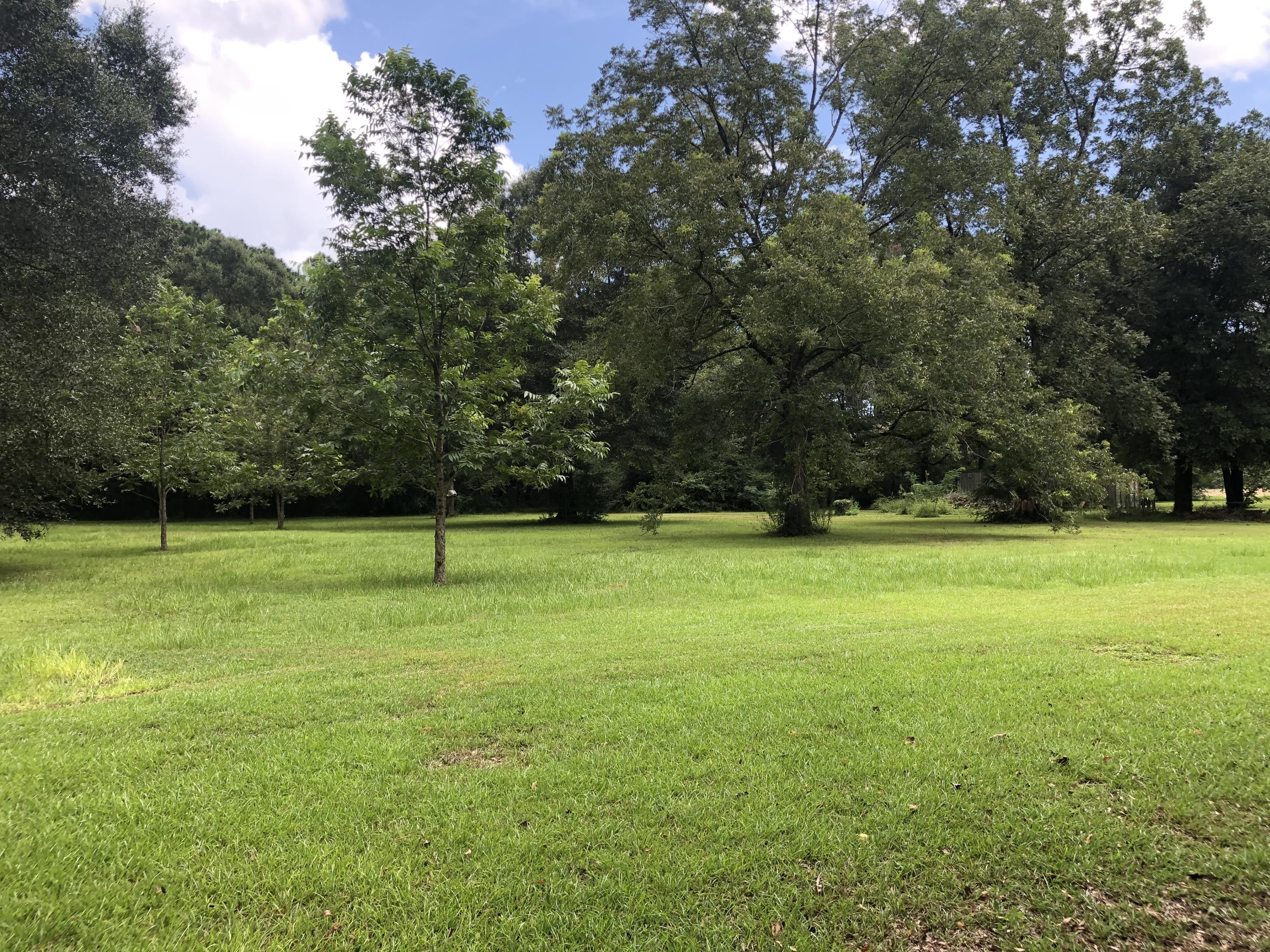1-ac Elzie Road Baker, FL 32531 - Photo 6 of 9 a view of field with tall trees