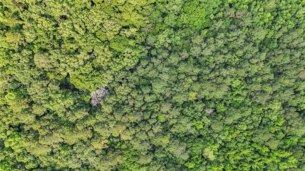 385 Kress Road Yemassee, SC 29945 - Photo 11 of 19