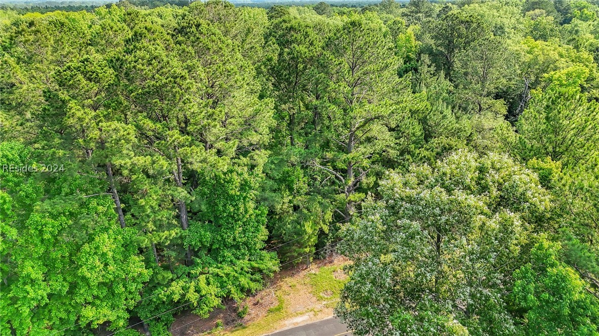 385 Kress Road Yemassee, SC 29945 - Photo 12 of 19