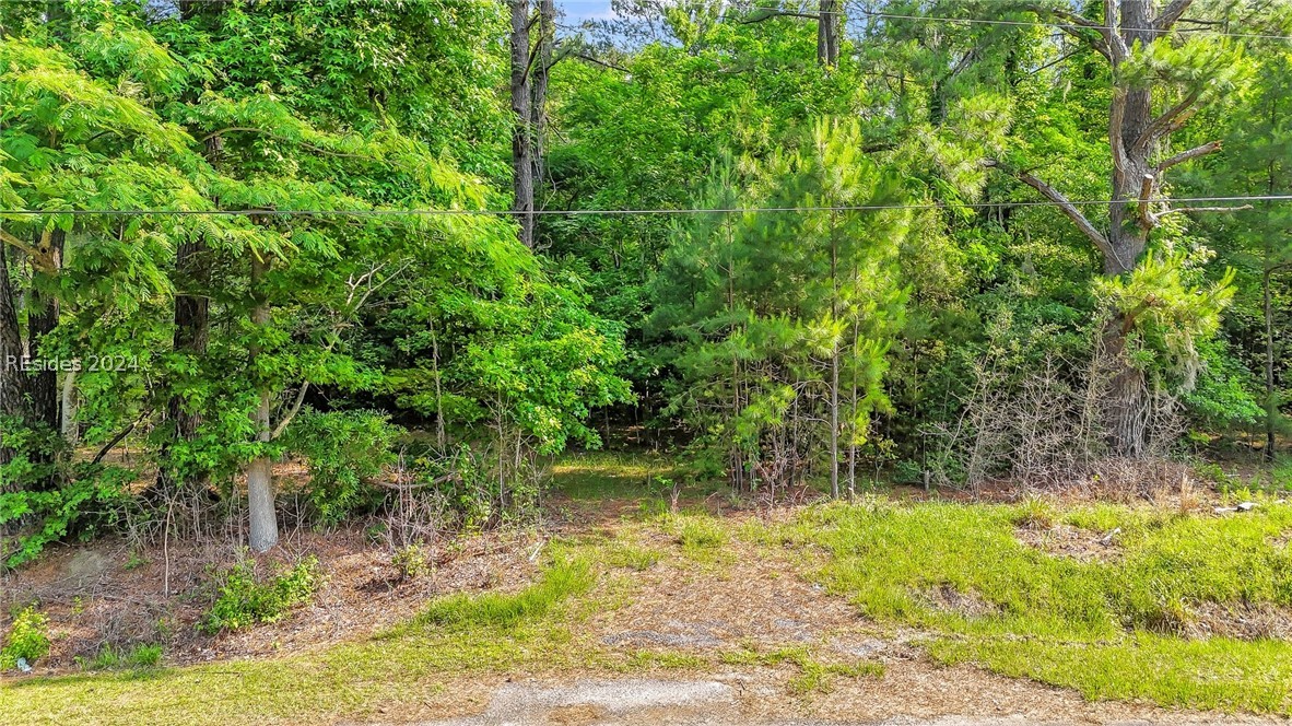 385 Kress Road Yemassee, SC 29945 - Photo 14 of 19