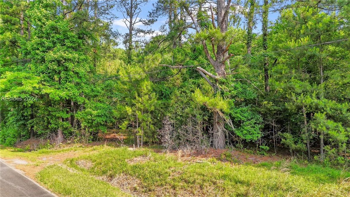 385 Kress Road Yemassee, SC 29945 - Photo 16 of 19