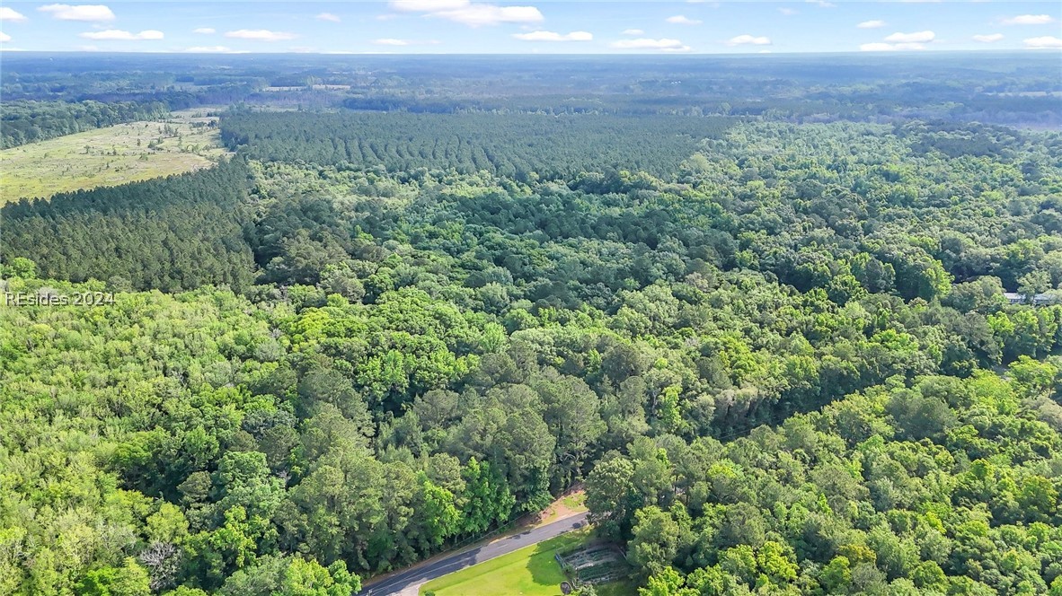 385 Kress Road Yemassee, SC 29945 - Photo 2 of 19