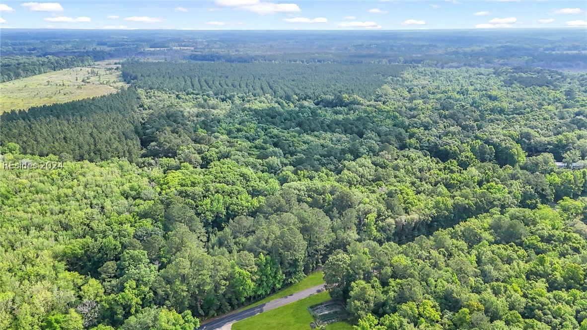 385 Kress Road Yemassee, SC 29945 - Photo 3 of 19