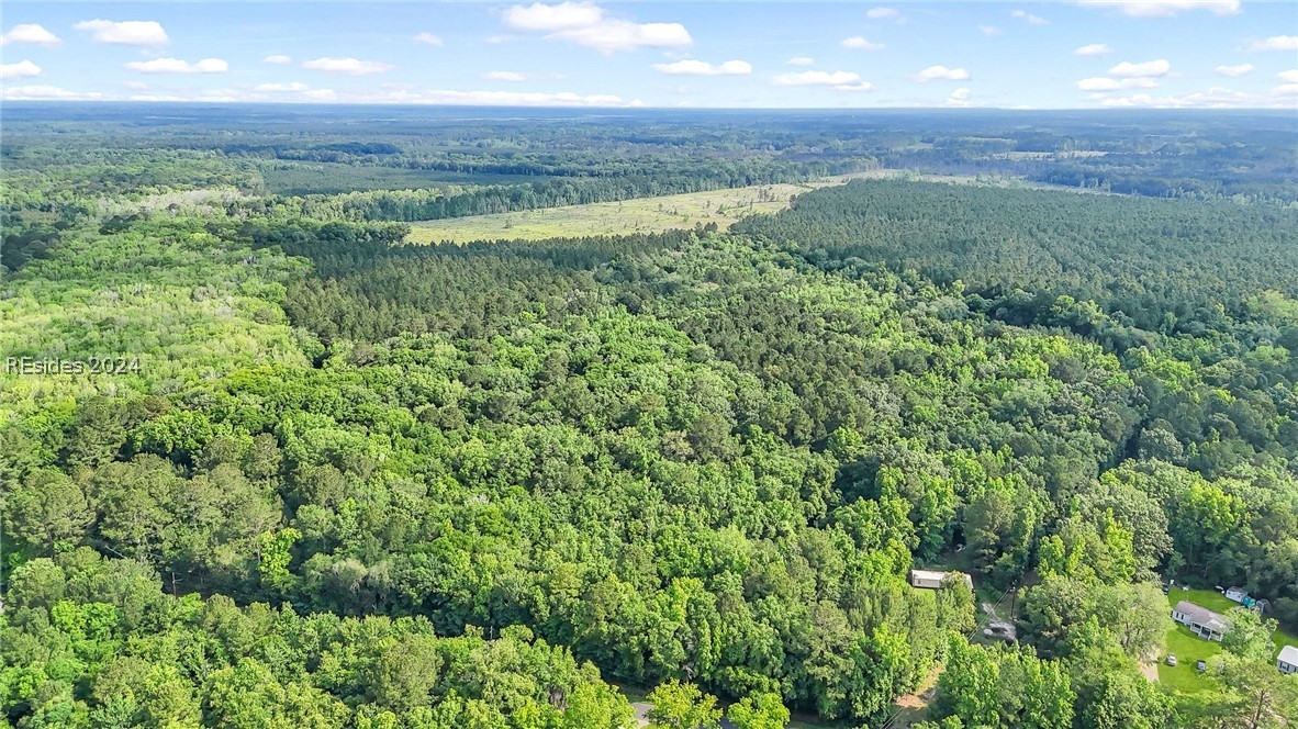 385 Kress Road Yemassee, SC 29945 - Photo 5 of 19