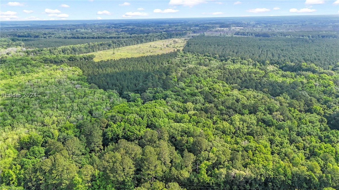 385 Kress Road Yemassee, SC 29945 - Photo 6 of 19