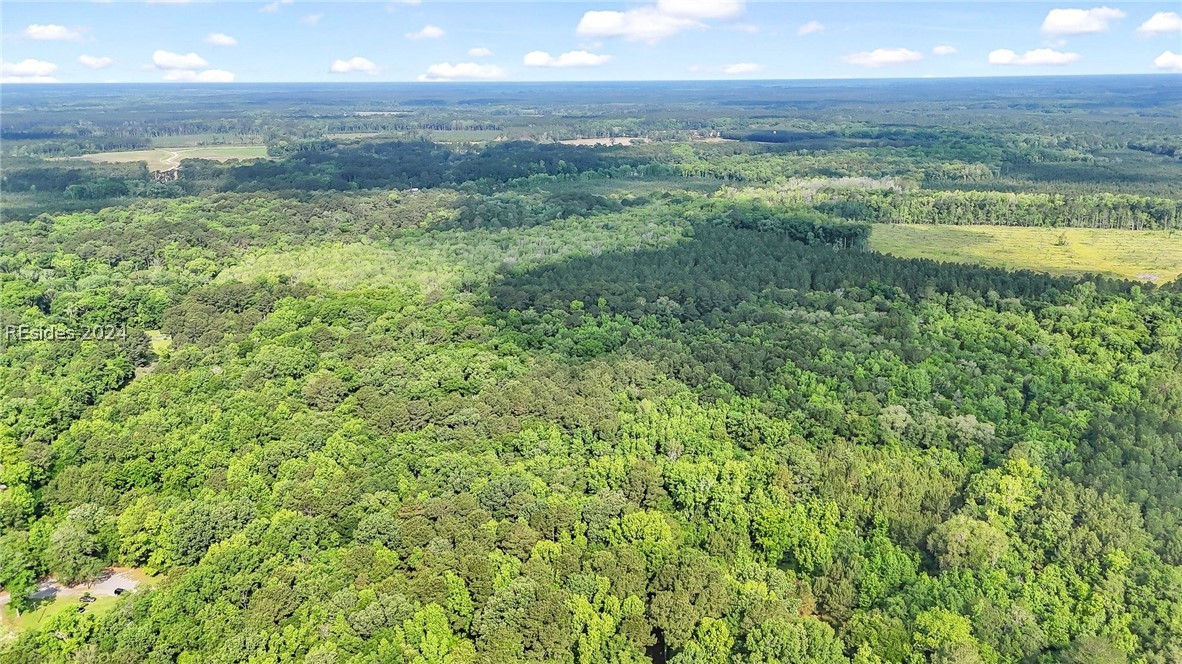 385 Kress Road Yemassee, SC 29945 - Photo 7 of 19