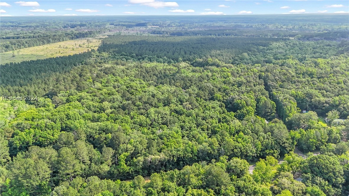 385 Kress Road Yemassee, SC 29945 - Photo 10 of 19