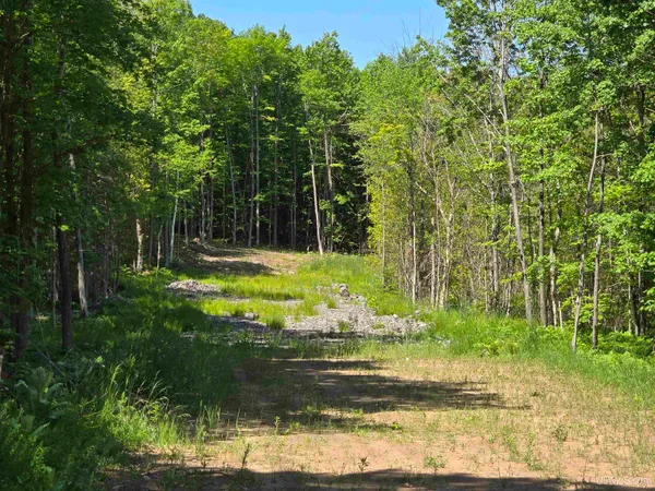 $20,000 | 1504 Sugar Maple Lane, Houghton, MI 49931