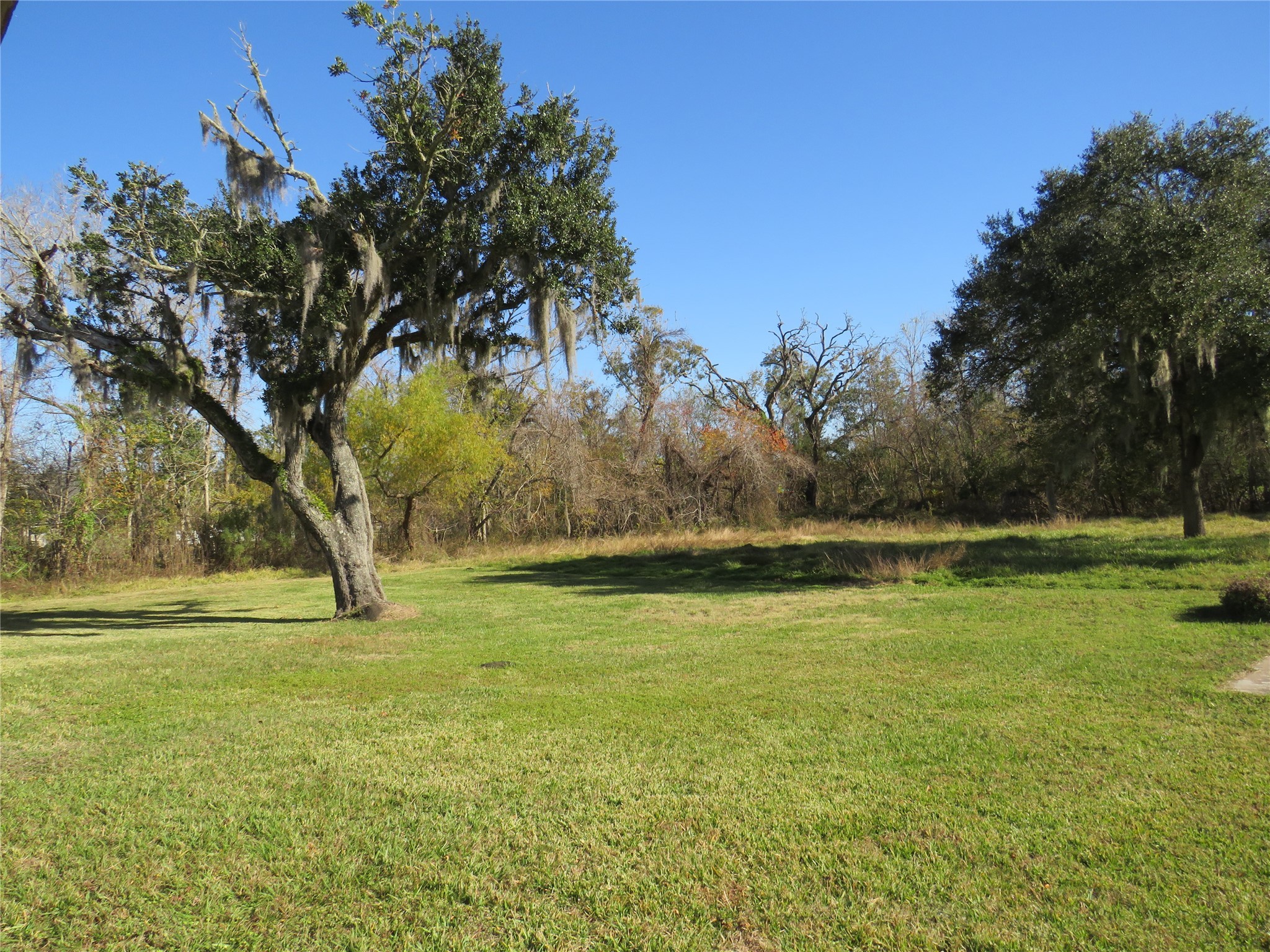 10 Forrest Lane Angleton, TX 77515 - Photo 4 of 20