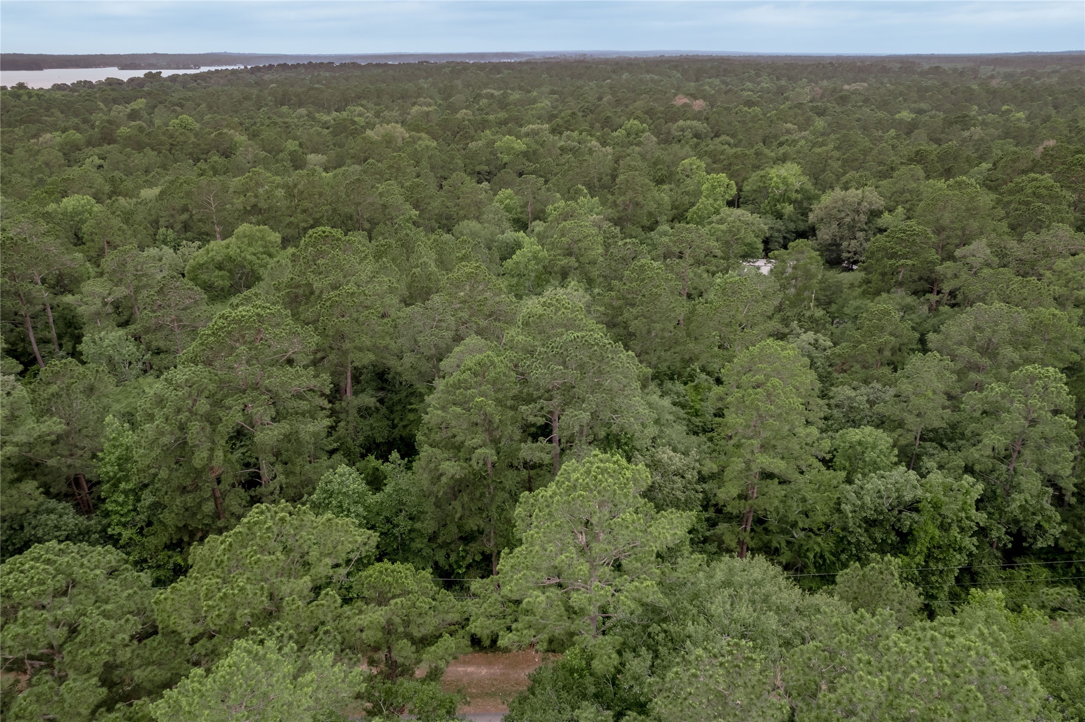 Lot 07 Oak Drive Trinity, TX 75862 - Photo 27 of 36