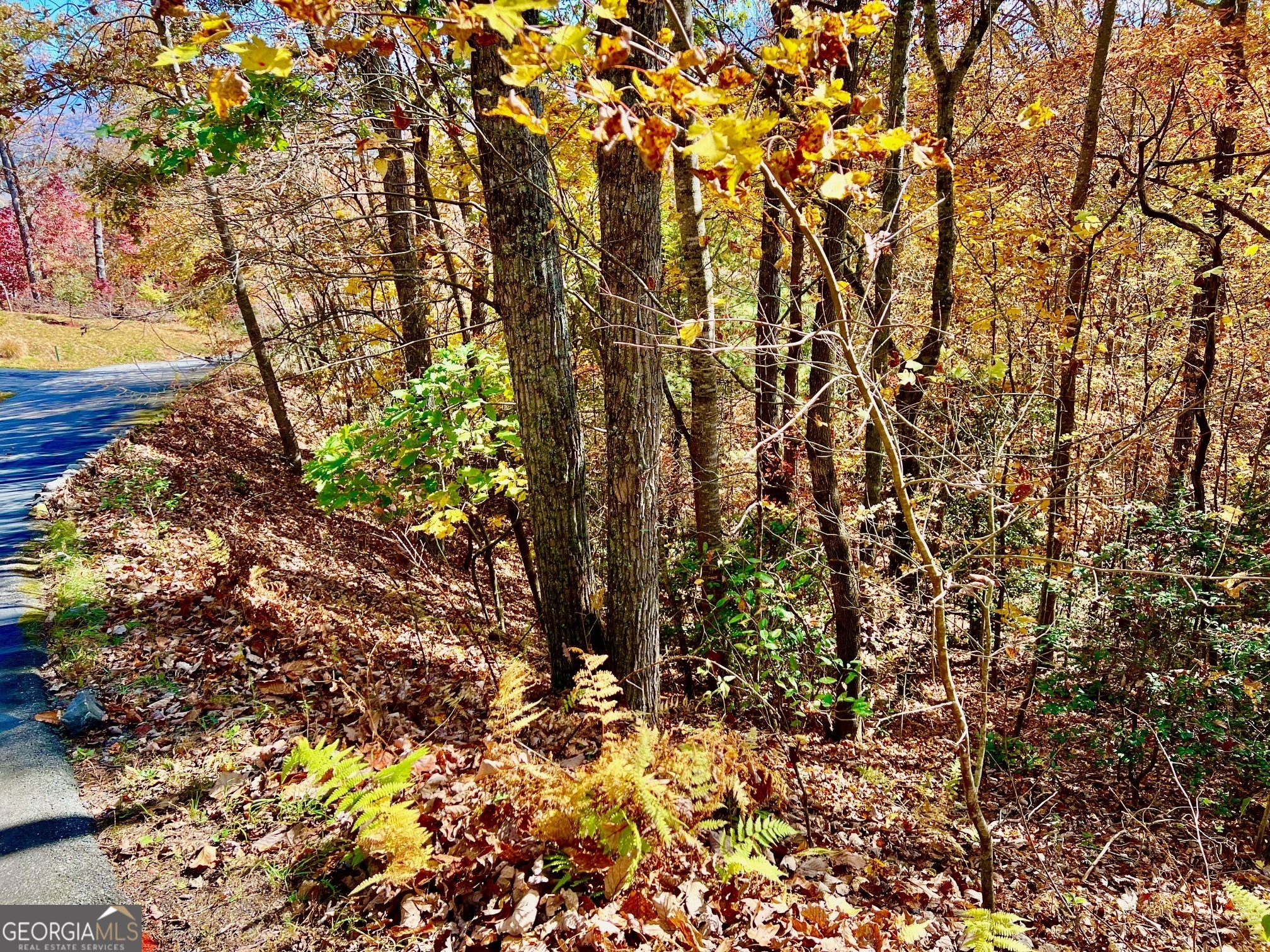 13 Up The Ridge Road Blairsville, GA 30512 - Photo 3 of 11