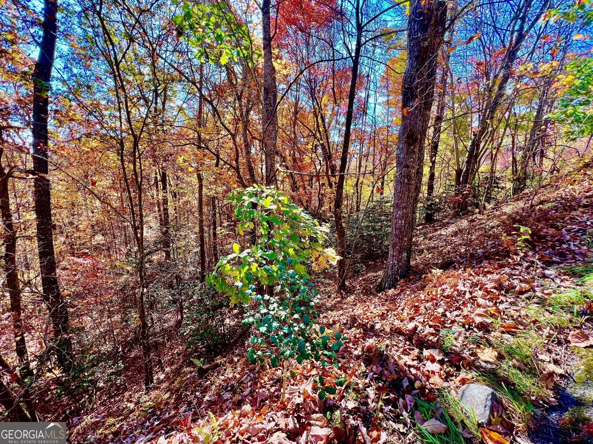 13 Up The Ridge Road Blairsville, GA 30512 - Photo 5 of 11 a backyard of a house with lots of green space