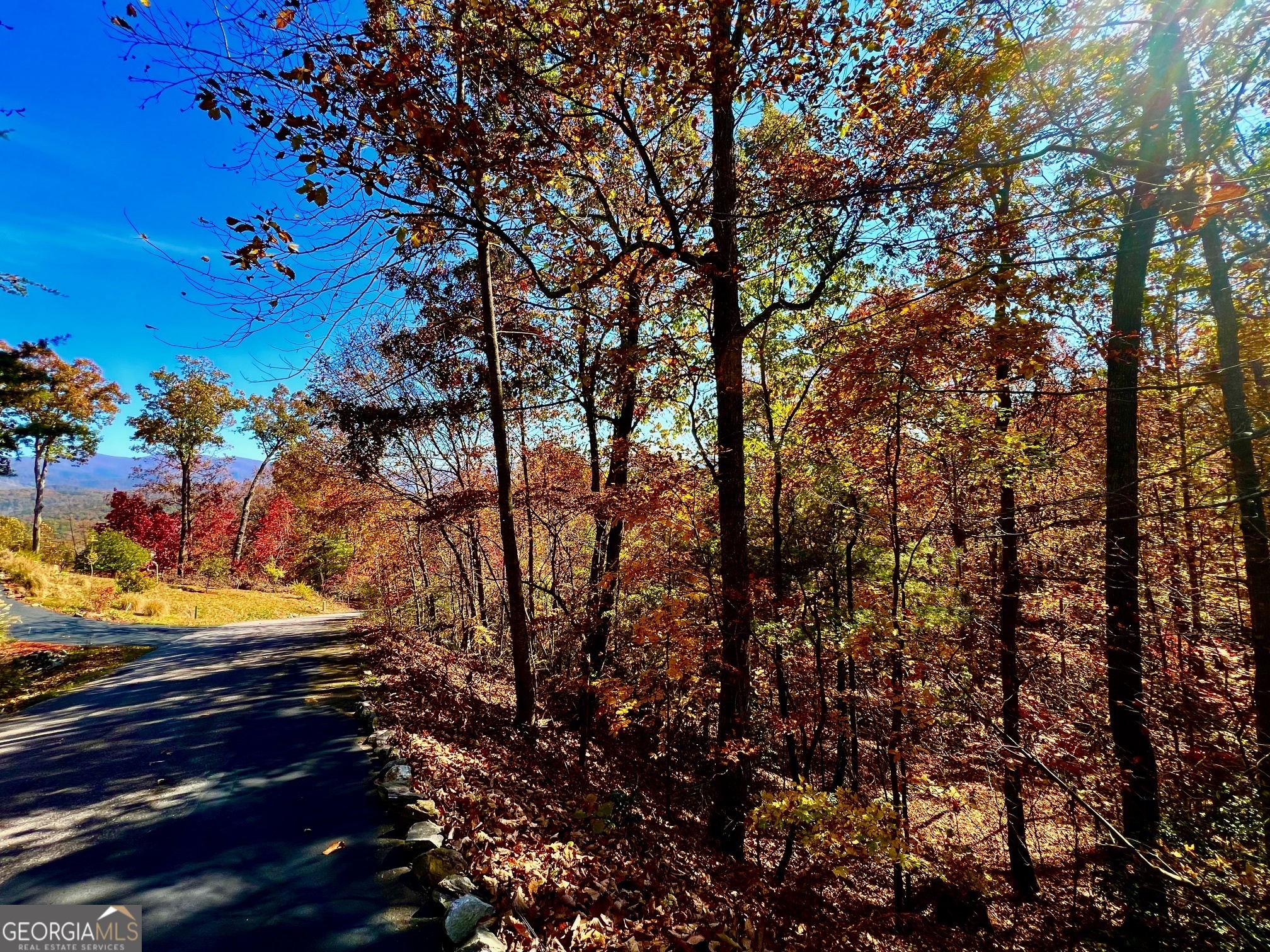 13 Up The Ridge Road Blairsville, GA 30512 - Photo 7 of 11 a view of a lake with houses