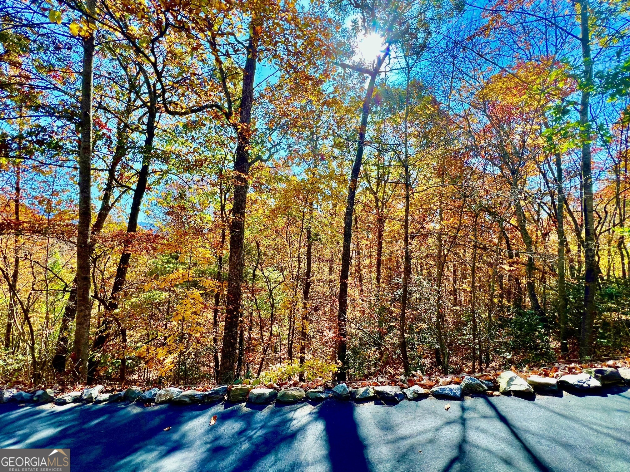 13 Up The Ridge Road Blairsville, GA 30512 - Photo 8 of 11 a view of outdoor space with deck and tree