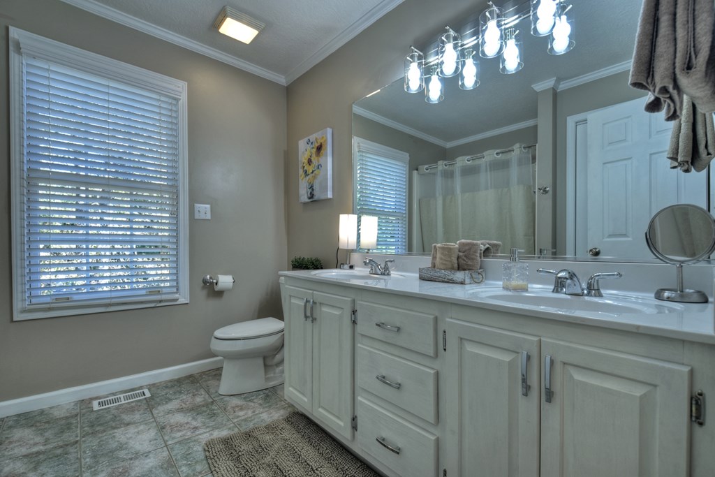3725 Ada Street Blue Ridge, GA 30513 - Photo 20 of 75 a bathroom with a toilet sink double vanity and mirror