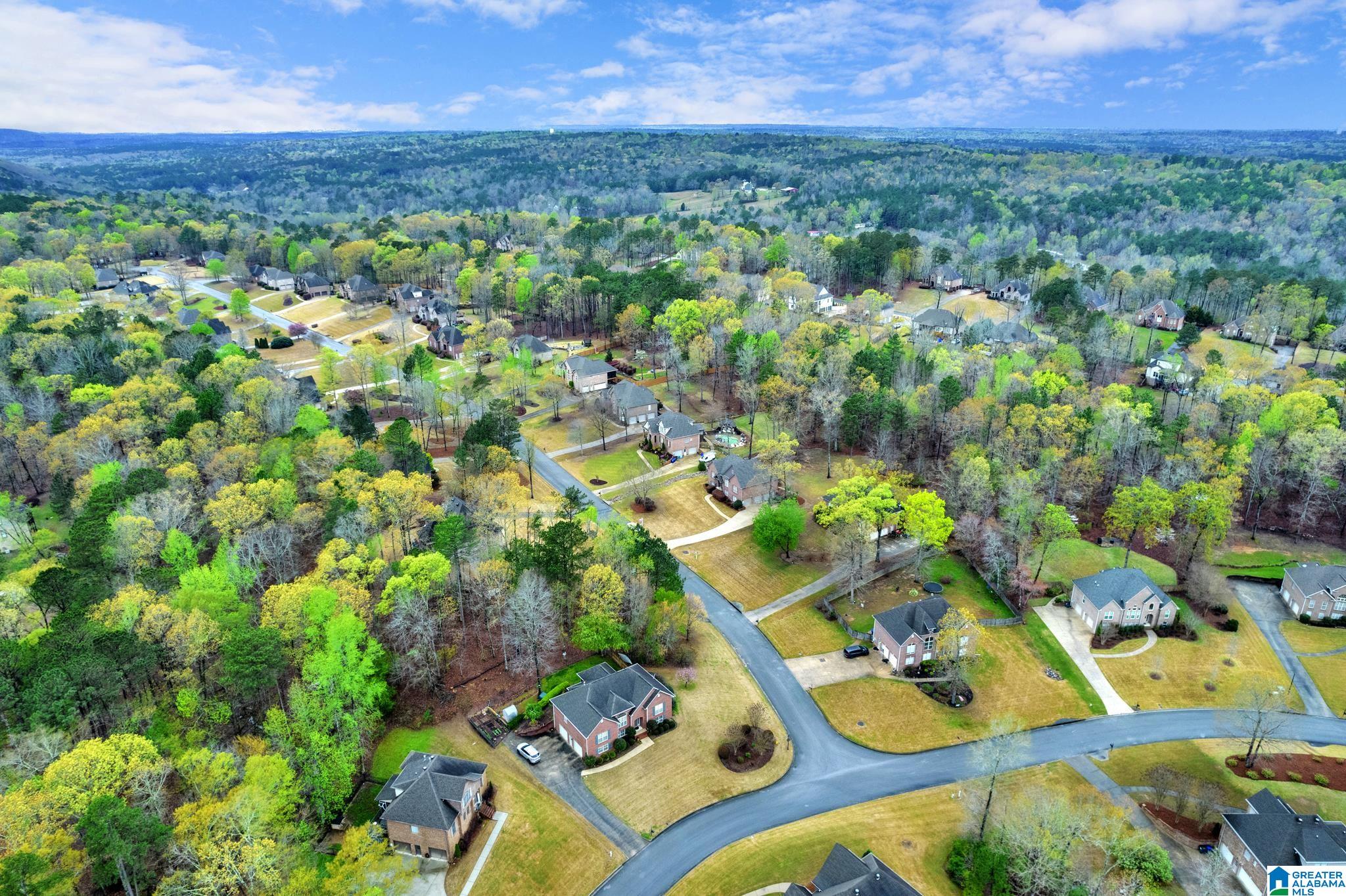 3611 Timber Way Helena, AL 35022 - Photo 45 of 51
