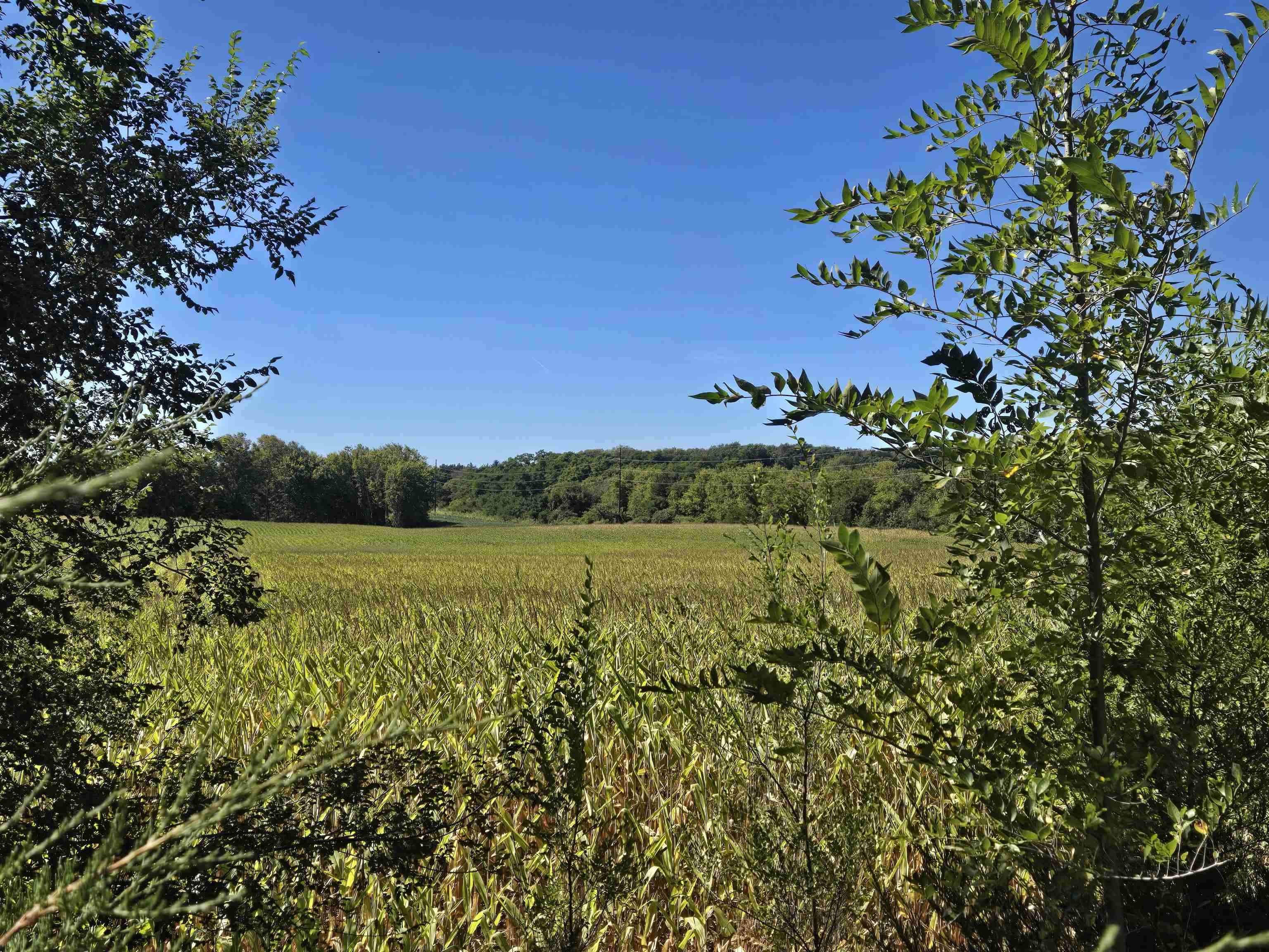 18.26-ac Highway 78 Merrimac, WI 53561 - Photo 7 of 27