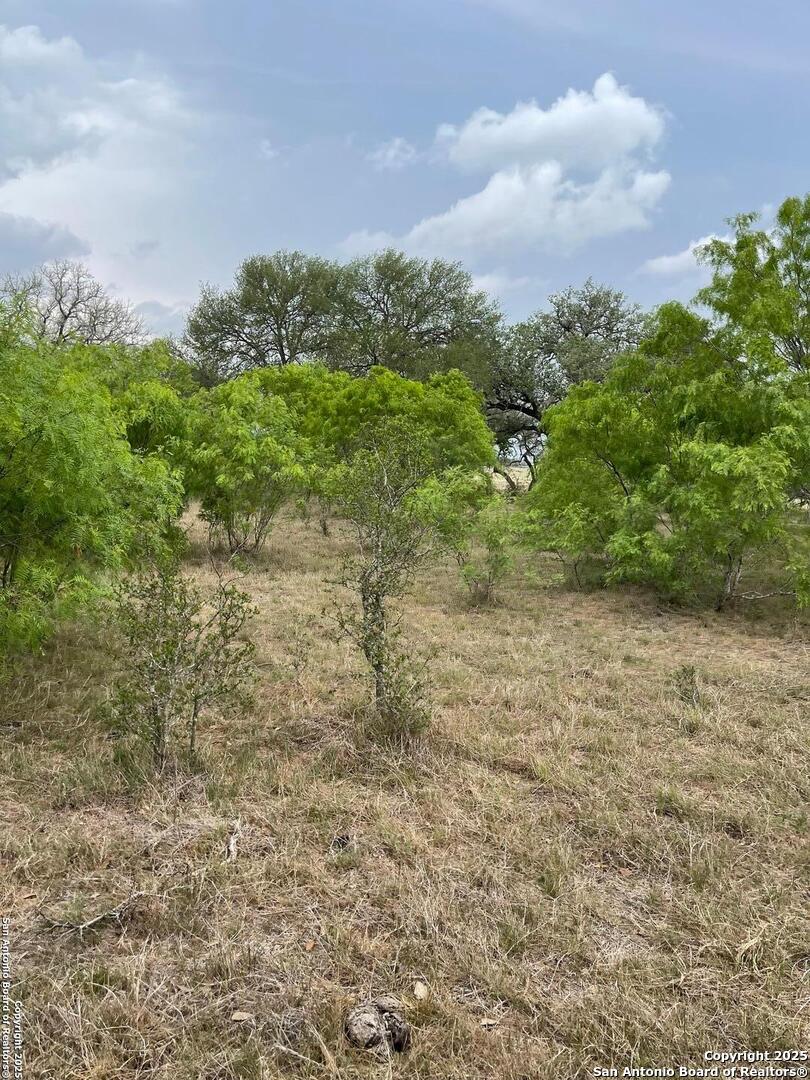 Tract 4 Hartfield Seguin, TX 78155 - Photo 4 of 8 a view of a big yard with plants and a bench