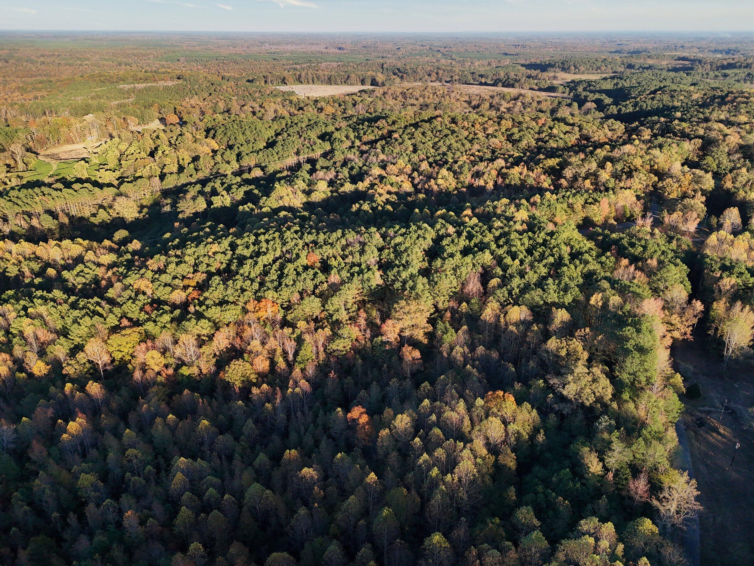 0 Busby Church Road Nauvoo, AL 35578 - Photo 11 of 14 dji_fly_20251104_160648_0173_17622941349