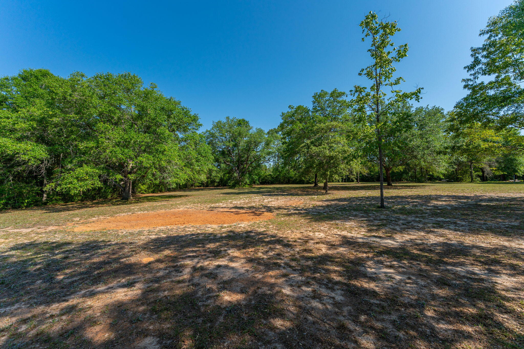 5777 Buckward Road Baker, FL 32531 - Photo 50 of 60 a view of a field with trees in the background
