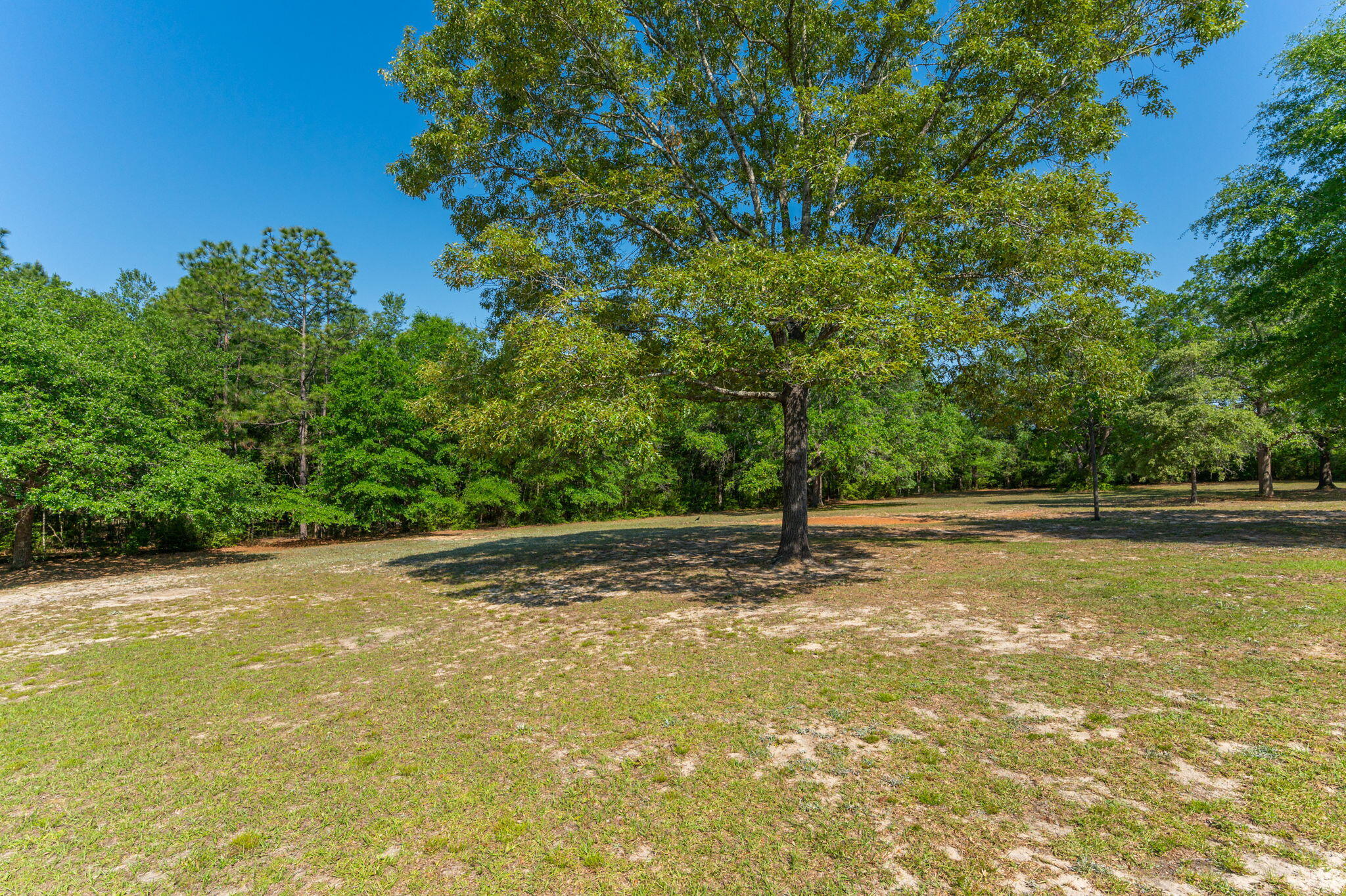 5777 Buckward Road Baker, FL 32531 - Photo 51 of 60 56-web-or-mls-5777 Buck Ward Rd Exterior
