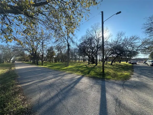 a view of a park with large trees