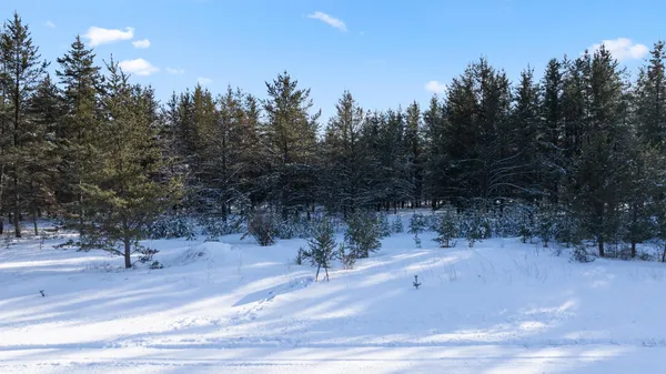 $35,999 | Tbd Pine Cone Drive, Menahga, MN 56464