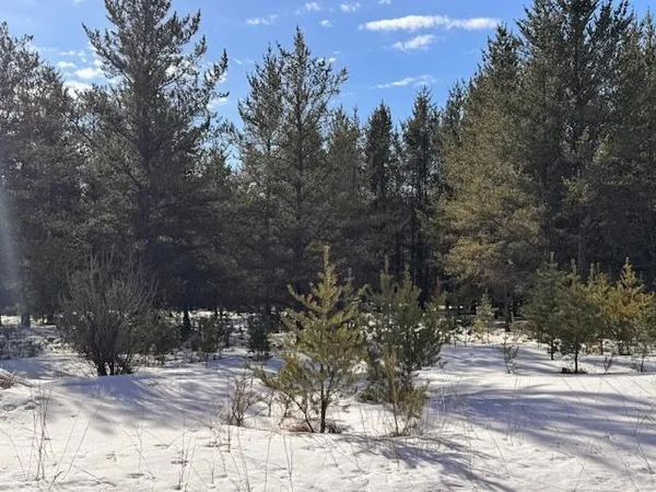 $35,999 | Tbd Pine Cone Drive, Menahga, MN 56464