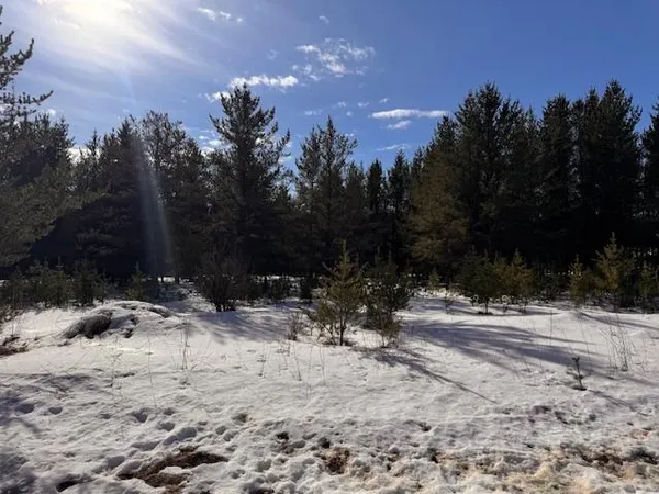 $35,999 | Tbd Pine Cone Drive, Menahga, MN 56464