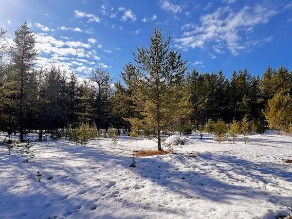 $35,999 | Tbd Pine Cone Drive, Menahga, MN 56464