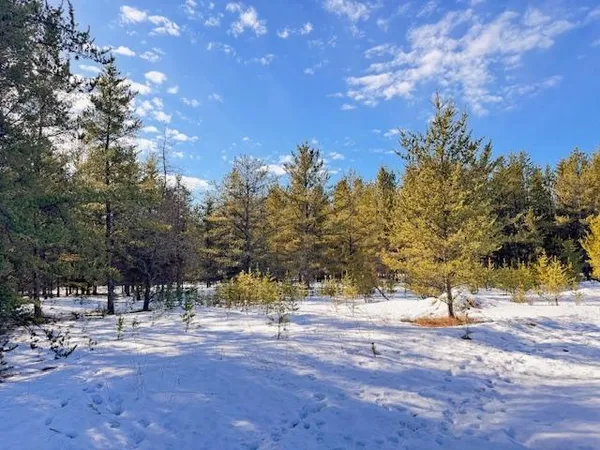 $35,999 | Tbd Pine Cone Drive, Menahga, MN 56464