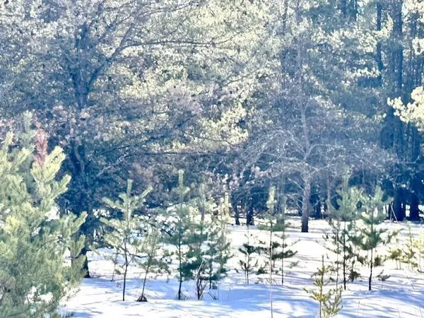 $35,999 | Tbd Pine Cone Drive, Menahga, MN 56464