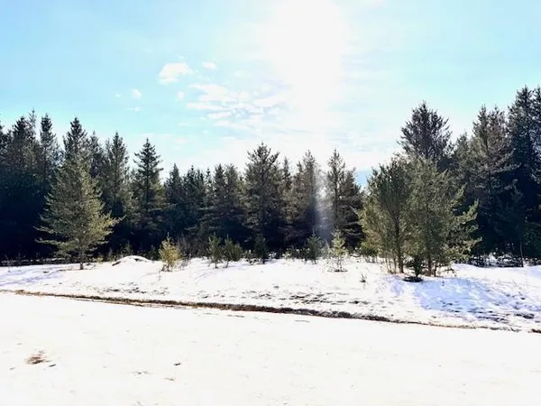 $35,999 | Tbd Pine Cone Drive, Menahga, MN 56464