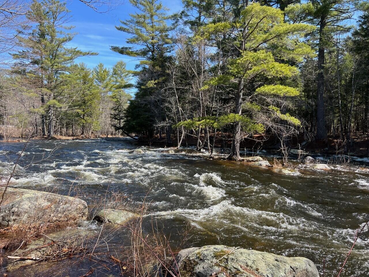 805 Carthage Road Carthage, ME 04224 - Photo 5 of 49 thumbnail_IMG_6901