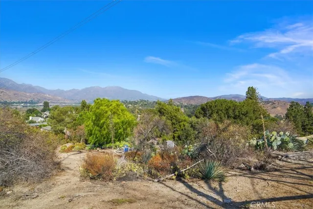 a view of a yard with a tree
