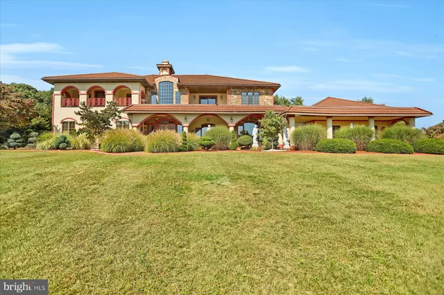 a living room filled with furniture and a potted plant