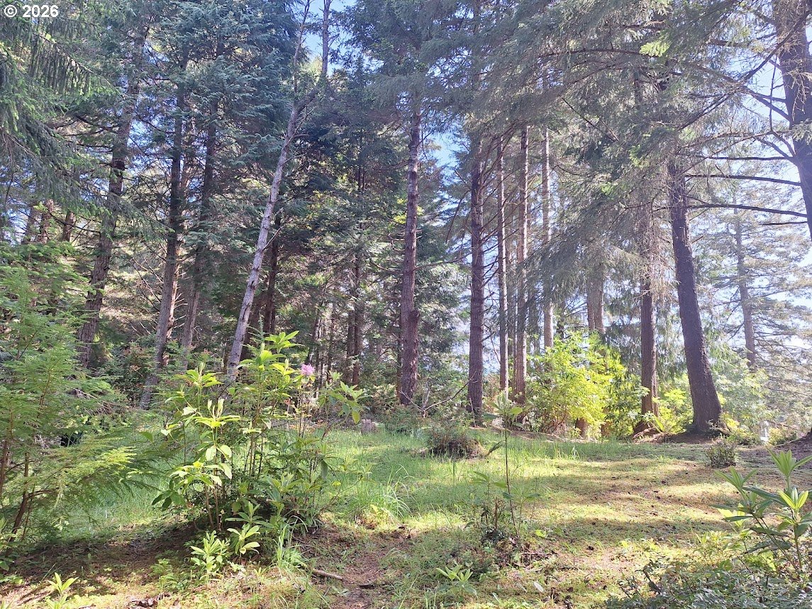 62934 Crown Point Road Coos Bay, OR 97420 - Photo 11 of 18