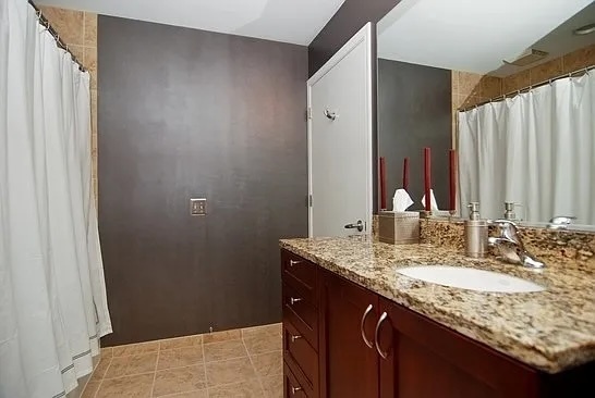 1255 South State Street, Unit 1609 Chicago, IL 60605 - Photo 8 of 12