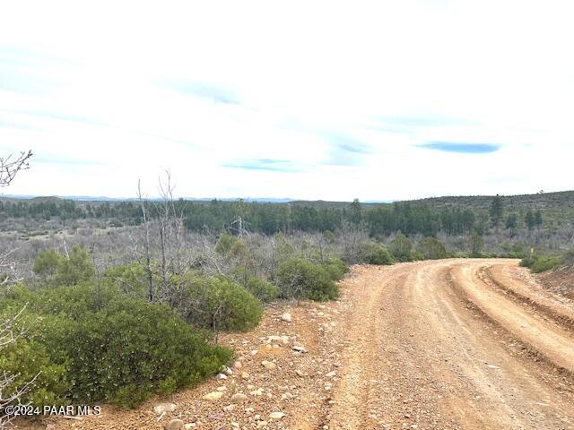 0 Fieldy Road Show Low, AZ 85901 - Photo 13 of 14 IMG_2304