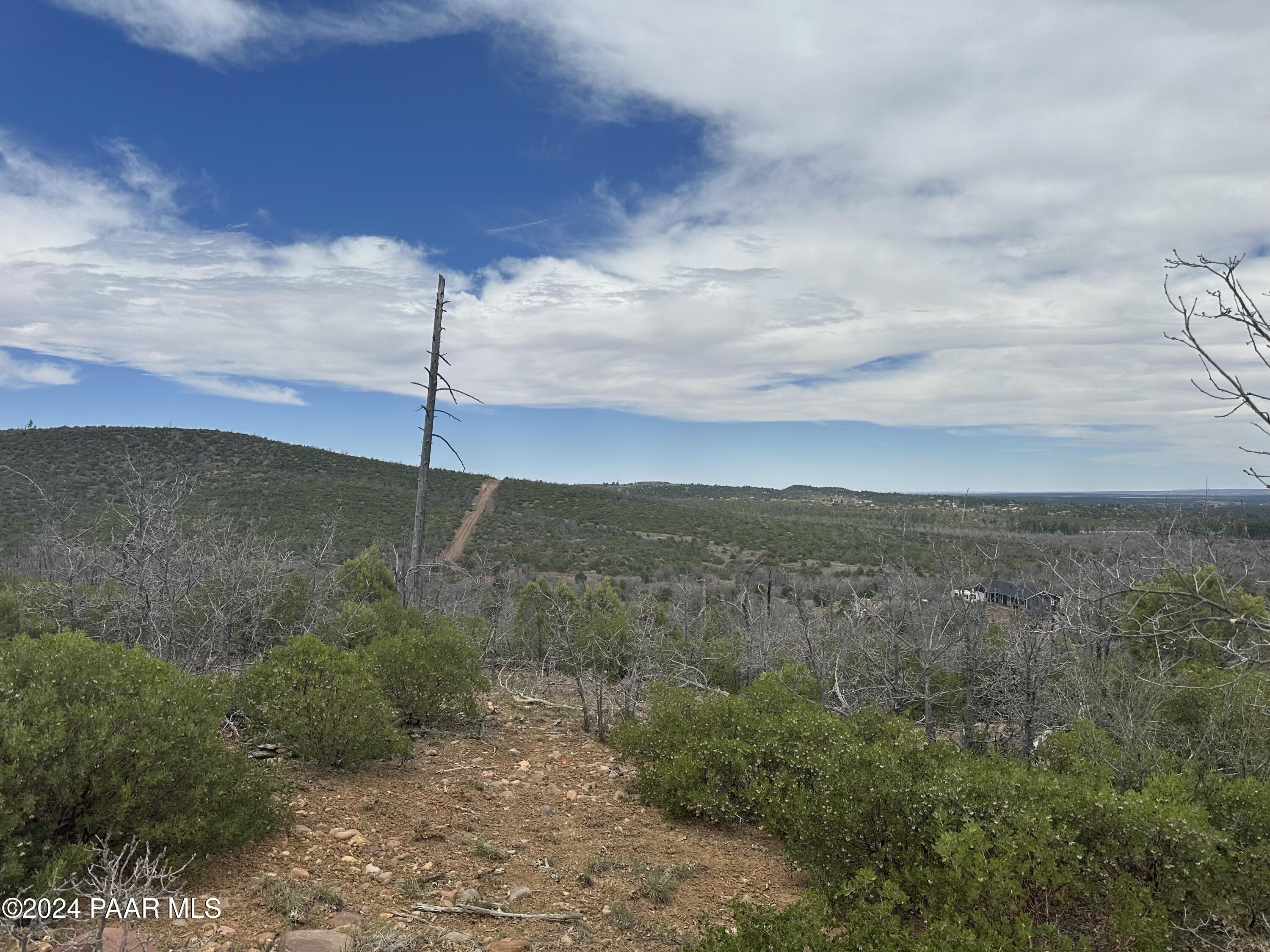 0 Fieldy Road Show Low, AZ 85901 - Photo 14 of 14 IMG_2301 (1)