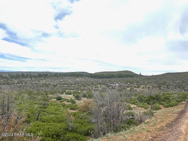 0 Fieldy Road Show Low, AZ 85901 - Photo 5 of 14 IMG_2291