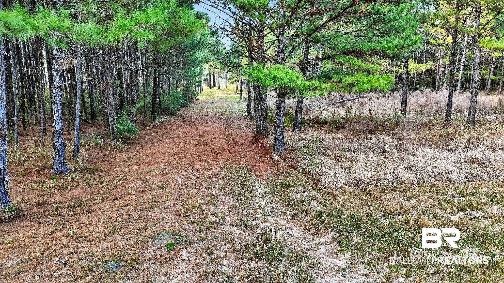 0 Hemley Road Bayou La Batre, AL 36509 - Photo 20 of 28