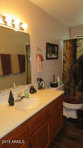 1402 North Sunset Drive Payson, AZ 85541 - Photo 19 of 28 Guest Bath