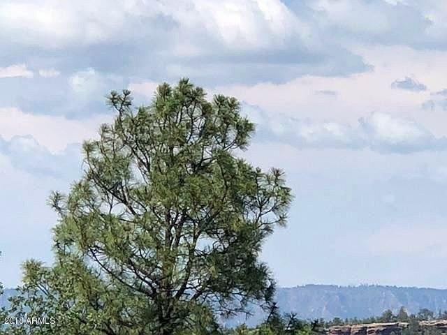 1402 North Sunset Drive Payson, AZ 85541 - Photo 4 of 28 Mogollon Rim View